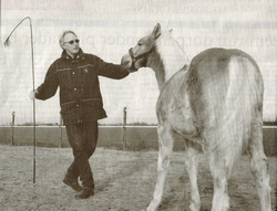 Jippe Burmania uit Wier met een van zijn Haflingers. Hij vertrouwt dieren meer toe dan mensen, zo blijkt uit zijn boek 'Skeind'. Foto LC/Gitte Brugman (gescand)