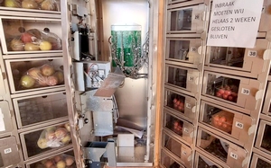 Krakers sloopten met geweld de groente- en fruitautomaten op bij meerdere kwekers en boeren in Waadhoeke.