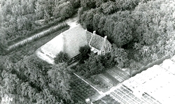 De plaats in 't Bosch in 1952 (Bron: Bildts Aigene/Jelke de Jager)